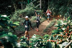 BIB: 
                            <button type="button" onclick="openModal(25856592)" class="btn btn-primary btn-sm float-right btn-popup" data-toggle="modal" data-target=".modal-high-quality">
                        <i class="fas fa-shopping-cart"></i> Add to Cart
                    </button>
                                            <button type="button" onclick="isThisMe(25856592, true)" class="btn btn-success btn-sm float-right btn-popup btn-isme hidden" data-toggle="tooltip" data-placement="bottom" title="นี่คือรูปของคุณใช่ไหม คลิกที่นี่เพื่อเอาเข้าอัลบั้ม">
                        <i class="fas fa-plus"></i> Add to album
                    </button>
                    <button type="button" onclick="isThisMe(25856592, false)" class="btn btn-warning btn-sm float-right btn-popup btn-isnotme hidden">
                        <i class="fas fa-ban"></i> Remove from album
                    </button>